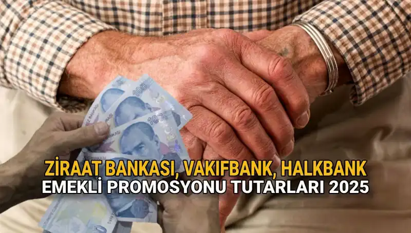 2025'te Kamu Bankalarından Emeklilere Sunulacak Promosyonlar Açıklandı!