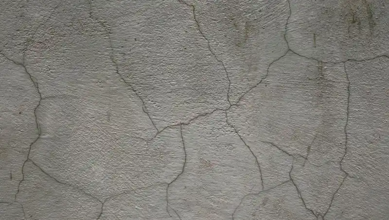 Canlı Beton: Yapı Malzemelerinde Devrim Yaratan Yenilik