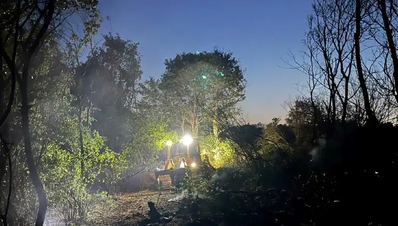 Edirne'de Korkutan Yangın Kontrol Altına Alındı: Son Durum Nedir?