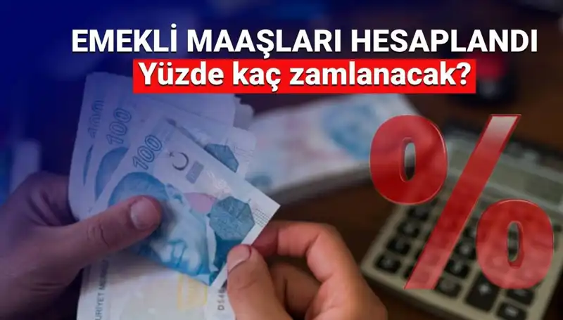Emekli Zammı Beklentileri Zirveye Ulaşıyor: 2024 Yılına Dair Öngörüler
