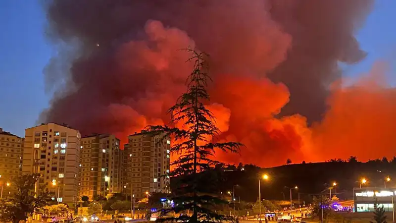 Bursa'da Yangınlar: Şehirde Korku Dolu Anlar Yaşandı