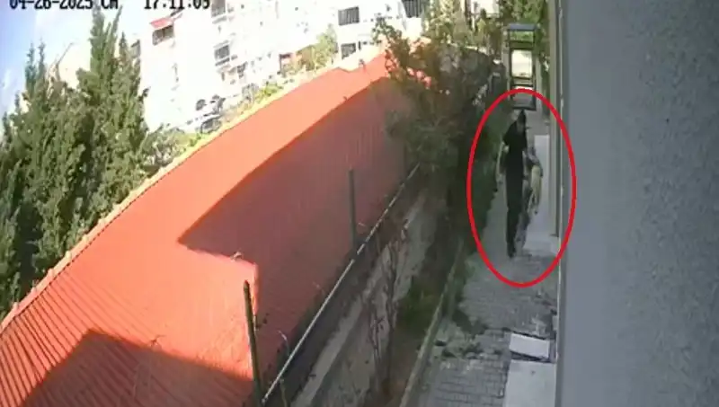 Veteriner Doktor, Sahiplendiği Köpekleri Parçalayıp Öldürmekten Tutuklandı