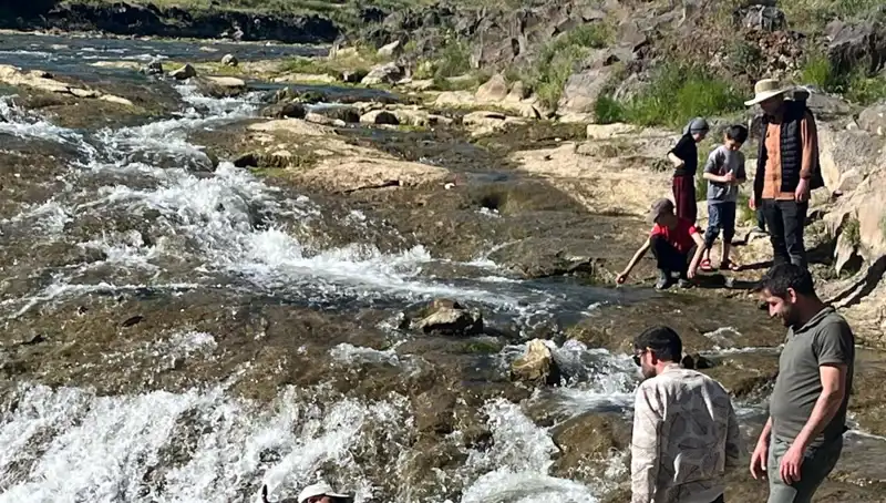 İnci Kefali Göçü: Doğanın En Büyüleyici Gösterisi Şimdi Başladı!