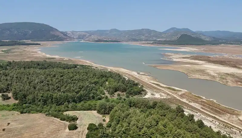 İzmir'de Tehlike Çanları Çalıyor: Düşüş İçin Korkutucu Rakamlar