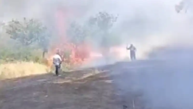 Doğal Felaket: Çay İçin Yakılan Ateş Fıstık Ağaçlarını Sıktı!