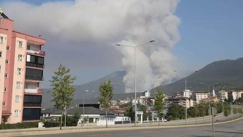 Denizli'de Orman Yangını: İnanılmaz Olayda Bir Şüpheli Gözaltına Alındı