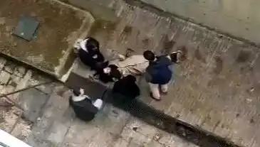 Kampüste Köpek Paniği: Dört Metreden Betona Düşen Öğrenci Şokta!