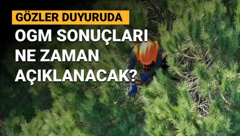 OGM Personel Alımı: 3 Bin 477 Sözleşmeli İşçi Başvuru Sonuçları Ne Zaman Açıklanacak?