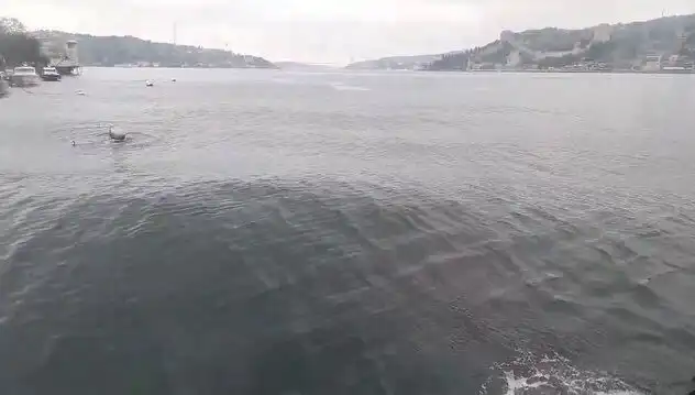 İstanbul Boğazı'nda Yükselen Dalgalar Tüm Şehri Sarhoş Etti