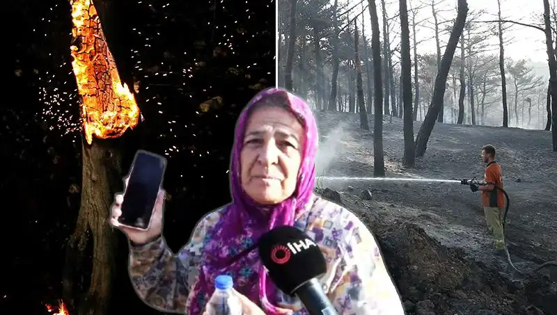 Çanakkale Orman Yangınları Kontrol Altına Alındı: Hayatta Kalanlar Şimdi Ne Yapacak?