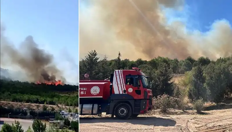 Gebze’de Orman Yangını Korkuttu: Ekipler Adeta Zamana Karşı Yarıştı!