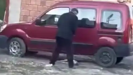 Sokak Ortasında Köpeğe Uygulanan Şiddet İhbarları Artıyor: Bunu Neden Yapıyorlar?