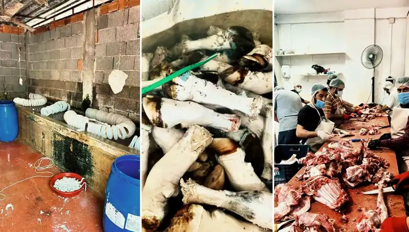 Adana’da Dehşet Verici Paça Operasyonu: Yüzlerce Kilo Ele Geçirildi