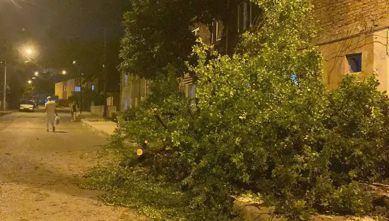 Karabük'te Şiddetli Fırtına: Doğa'nın Gücü Hayatı Olumsuz Etkiledi