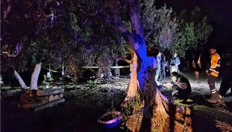 Çiftlikte Baltalı Vahşet: Sırrı Çözülen Olayda İlk Tutuklama