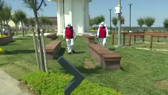 Kene Tehdidi Artıyor: Halka Açık Alanlarda İlaçlama Seferberliği Başladı!