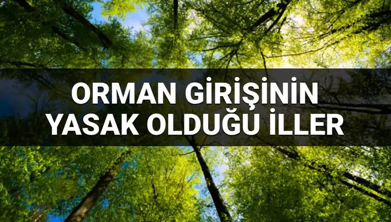 2025 Yılında Orman Girişinin Yasaklandığı İller Hangileri?
